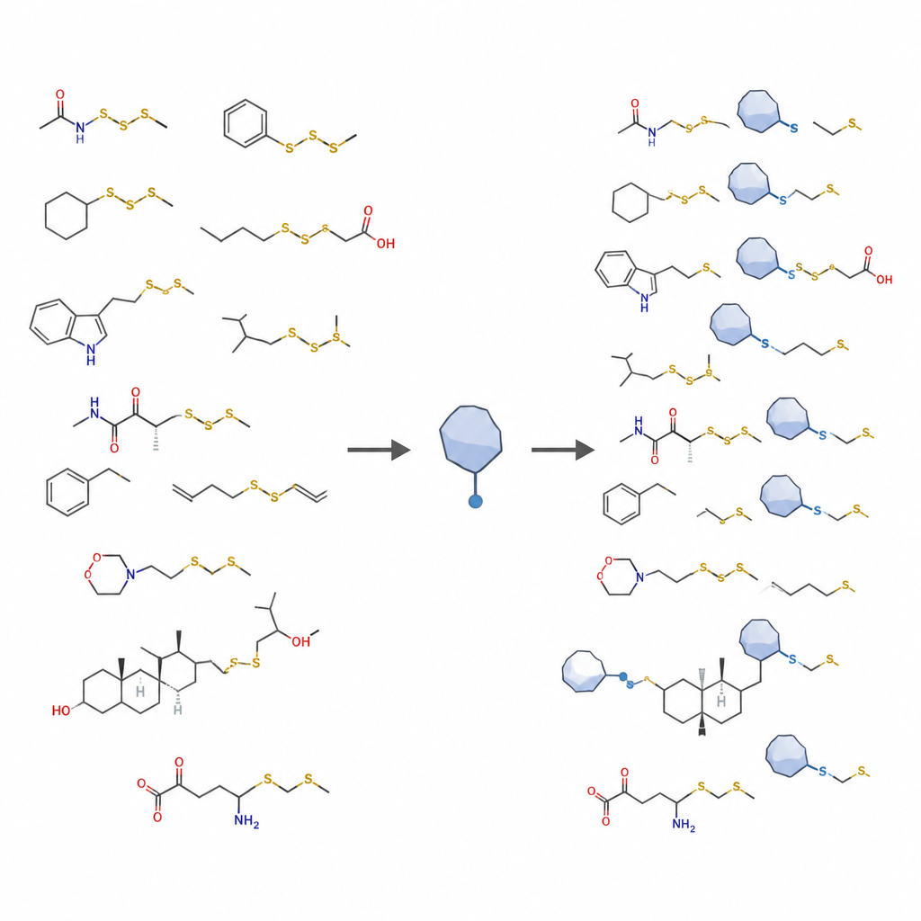 Figure 1. Un delicato reagente al silicio riforma selettivamente i legami dello zolfo in molecole diverse per creare una protezione dei tioli stabile e rimovibile.