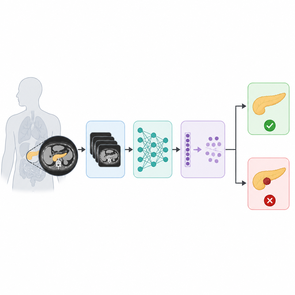 Figure 1. AI pipeline turns pancreatic CT scans into clear normal-or-tumor decisions for doctors at a glance.