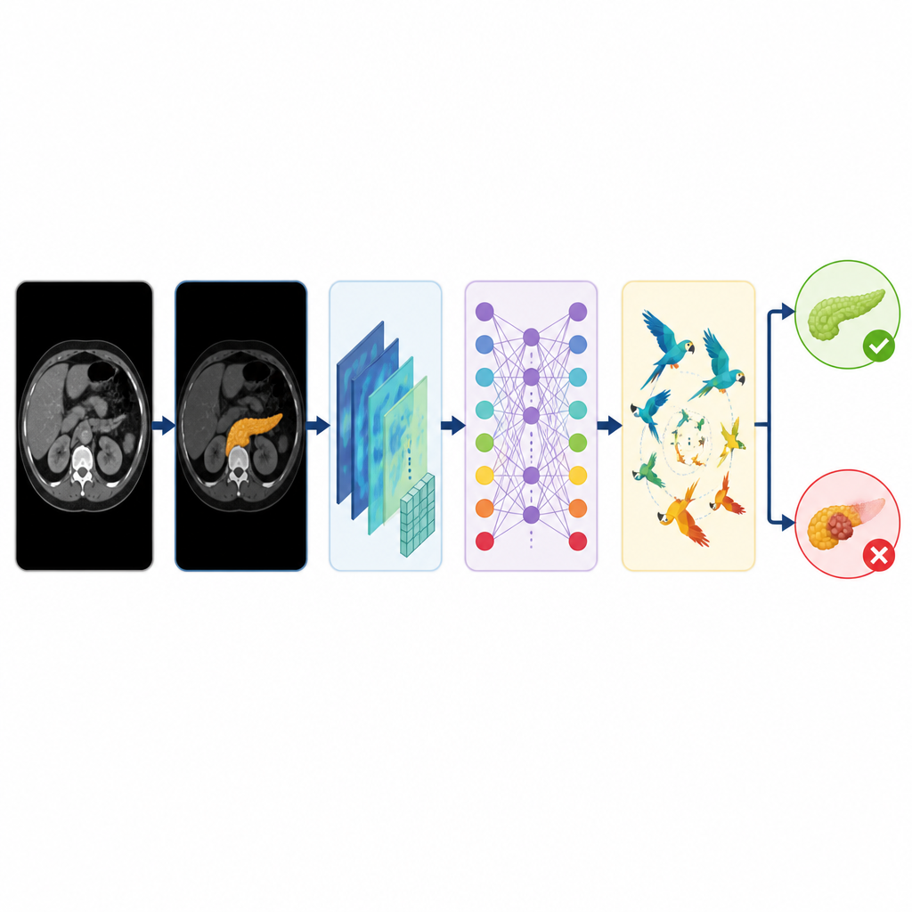 Figure 2. Stepwise view of how the AI cleans the scan, finds the pancreas, learns patterns, and refines its tumor decision.